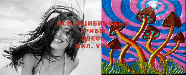 СК Навашино