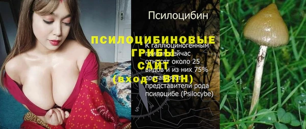 мет Надым