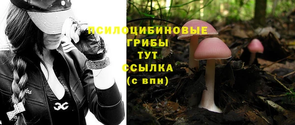 мет Надым