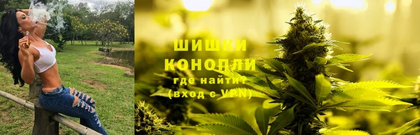 СК Навашино