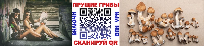 Псилоцибиновые грибы Psilocybine cubensis  Дмитриев 
